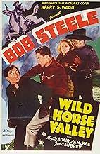 View Poster