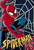 Spider-Man: The Animated Series (TV Series 1994–1998) Poster