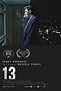 13 (2017)