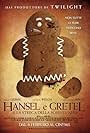 Hansel e Gretel e la strega della foresta nera (2013)