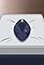 Tanzanite of Rebirth's primary photo