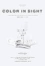 Color in Sight (2016)