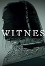 I, Witness (2017)