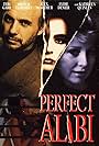 Perfect Alibi (1995)