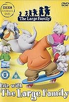 The Large Family (2006)