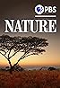 Nature (TV Series 1982– ) Poster