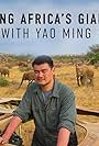 Saving Africa's Giants with Yao Ming (2014)