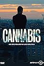 Cannabis (2016)