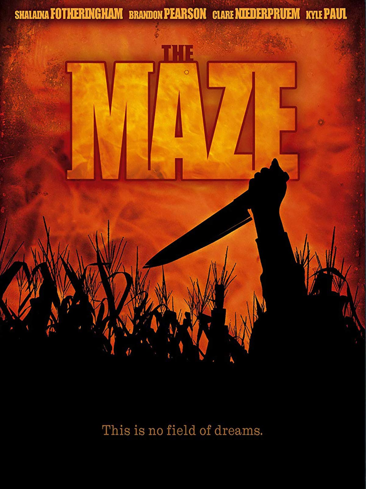 The Maze (2010)