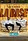 La base: Lex & Wasiu's primary photo