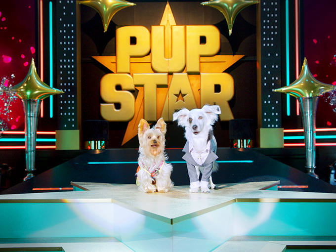 Pup Star: World Tour (2018)