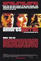 Amores perros (2000)