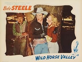 View Poster