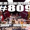 Joe Rogan and Aubrey Marcus in The Joe Rogan Experience (2009)