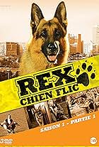 Rex, chien flic