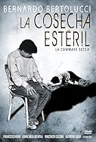 La cosecha estéril