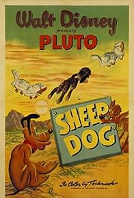 Primary photo for Sheep Dog Primary photo for Sheep Dog