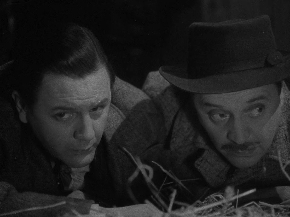 Basil Radford and Naunton Wayne in Night Train to Munich (1940)