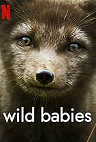 Wild Babies