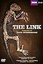 Uncovering Our Earliest Ancestor: The Link (2009)