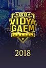 2018 Vidya Gaem Awards (2019)