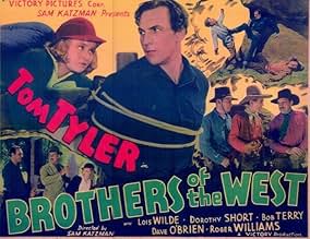 View Poster