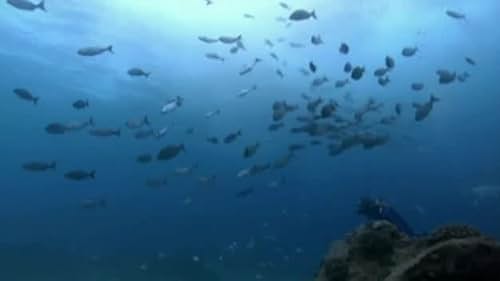 Jean-Michel Cousteau's Ocean Adventures