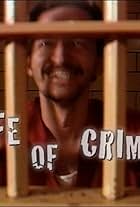 Life of Crime 2