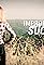 Improbable Success's primary photo