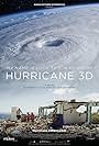 Hurricane, a wind odyssey (2016)