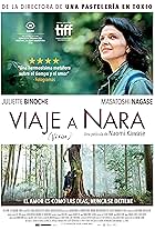 Viaje a Nara (Vision)