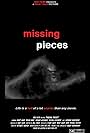 Missing Pieces (2009)