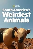 South America's Weirdest Animals (2020)