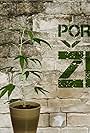 Porocilo: Zbe (2011)