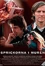 Sprickorna i muren (2003)