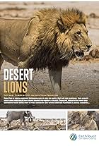 Desert Lions (2017)