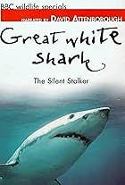 Great White Shark (1995)