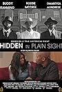 Hidden in Plain Sight (2022)