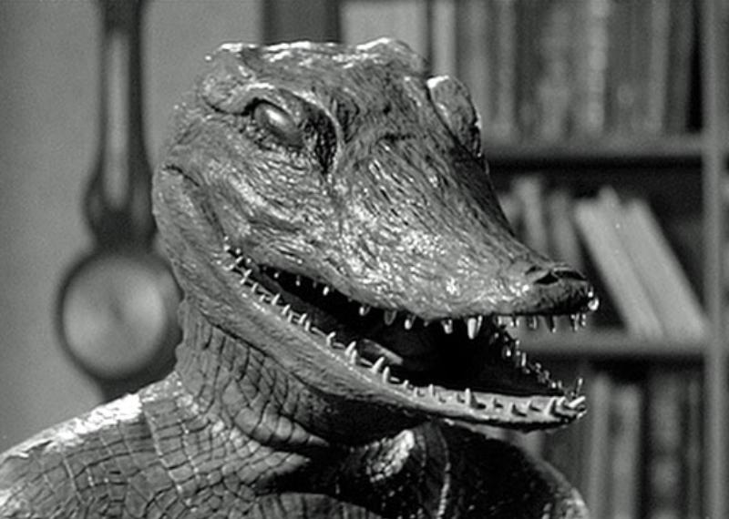 Richard Crane in The Alligator People (1959)