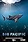 Big Pacific's primary photo