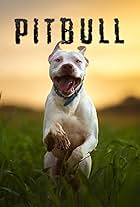 Pitbull