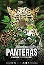 Panteras: Viviendo entre felinos (2021)