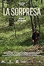 La sorpresa (2015)