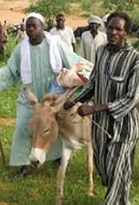 Primary photo for Surviving Sudan