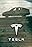 Telsa: Experience the Future