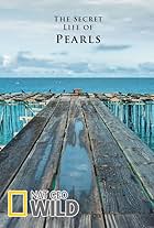 Secret Life of Pearls (2016)