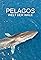 Pelagos - Welt der Wale's primary photo