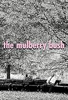 The Mulberry Bush