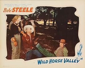 View Poster