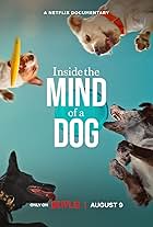 Inside the Mind of a Dog